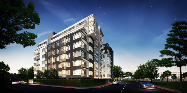 banner-project-details