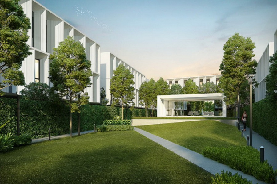 Plume-Watcharaphon-Ekkamai