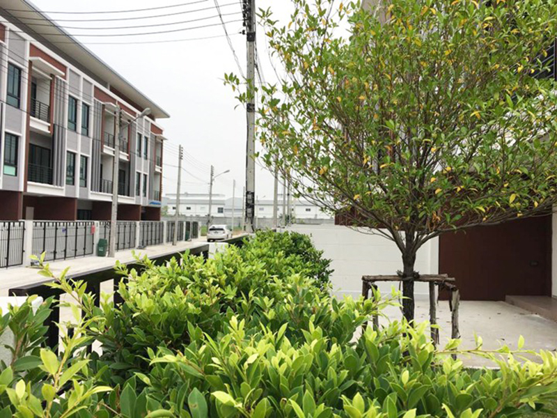 Supaluk-Cozy-House-Pathumthani-Nonthaburi