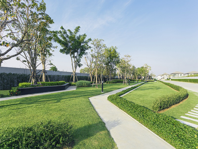 The-Ricco-Town-Wongwaen-Lumlukka