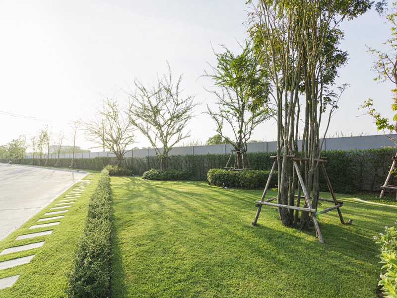 The-Ricco-Town-Wongwaen-Lumlukka