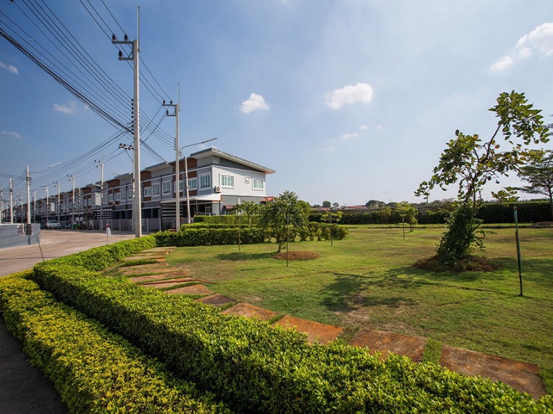 9th-Canale-Rangsit-Klong-8