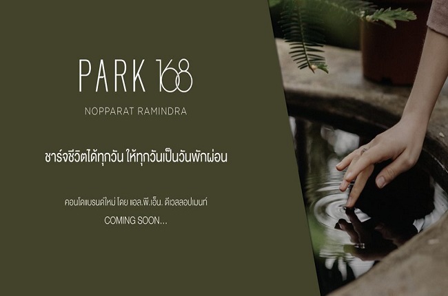 banner-project-details