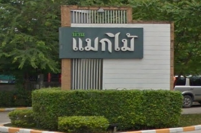 banner-project-details