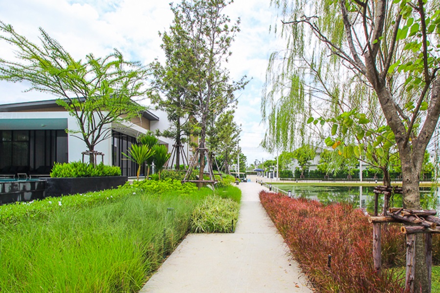 Mantana-Phetkasem-Sai-4