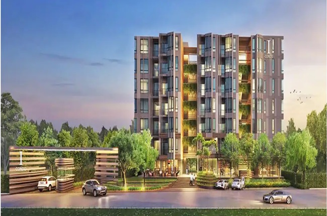 banner-project-details