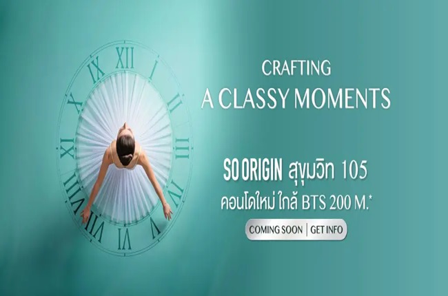 banner-project-details