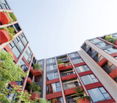 banner-project-details