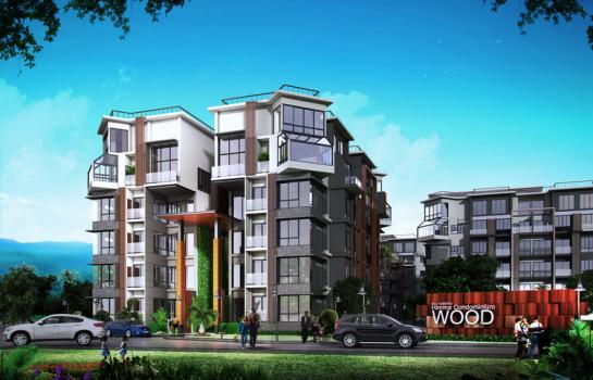 banner-project-details